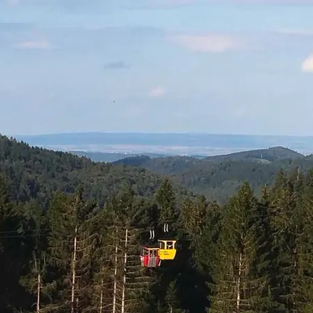 Aussichtsreich Goslar